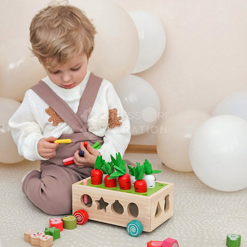 Montessori Carrot Wheels